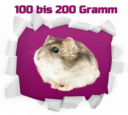 Hamster groß 2 St. ca. 100-200g