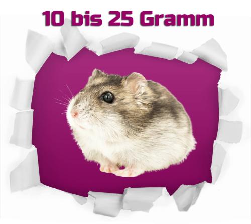 Hamster klein 10 St. ca. 20-60g