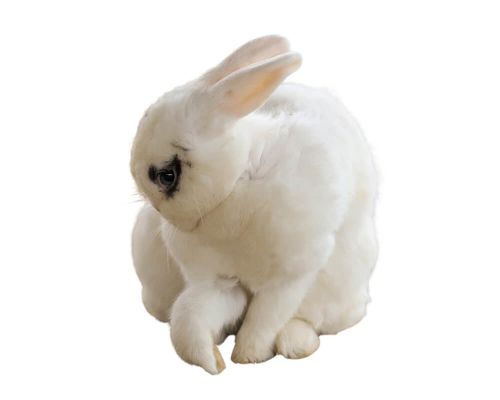 Hase/Kaninchen pro Stück gefroren ca. 4000/5000g