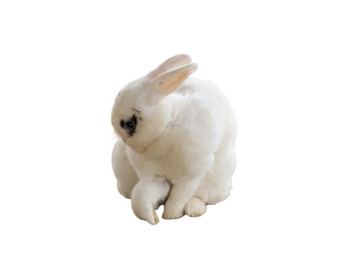Hase/Kaninchen pro Stück gefroren ca. 500/700g