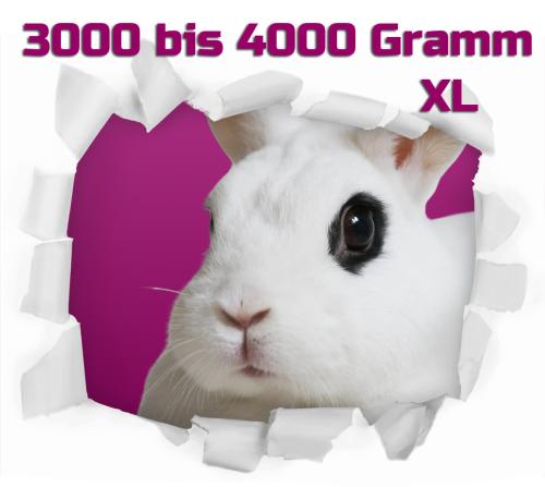 Hase/Kaninchen pro Stück gefroren ca. 3000/4000g