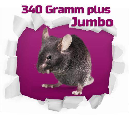 Ratte Jumbo 340g+ 25 Stück