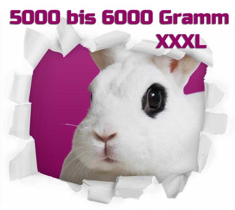 Hase/Kaninchen pro Stück gefroren ca. 5000/6000g