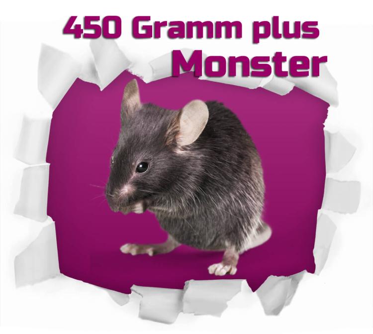 Ratten Monster 450g+ 25 Stück