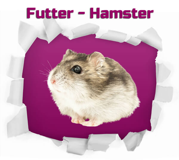 Hamster - Frostfutter