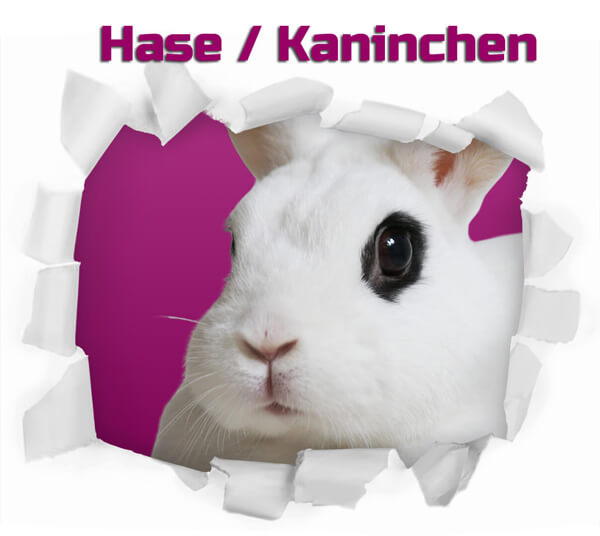 Hasen & Kaninchen - Frostfutter