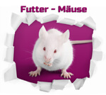 Frostfutter Maus